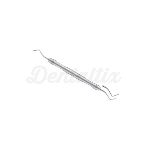 LiquidSteel: Perióstotomo Posterior Img: 202503151
