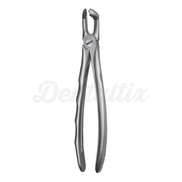 Forceps Figura 79 Img: 201807031