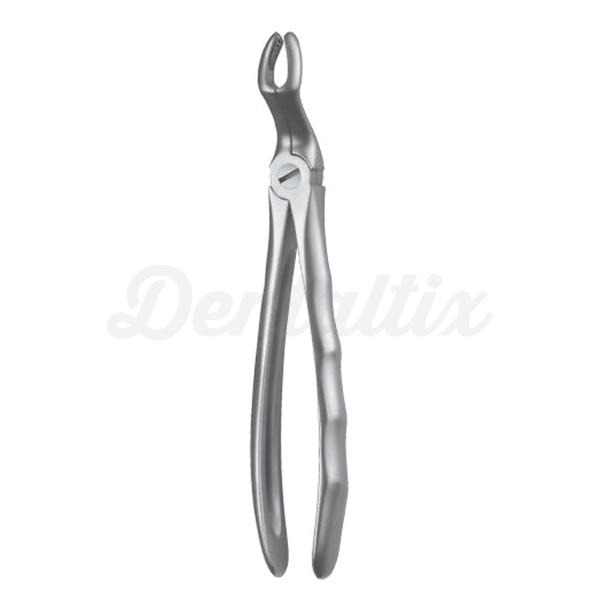 Forceps Figura 67A Img: 201807031