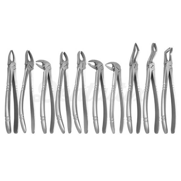 Pinça de Extração Dentária com Cabo Ergonómico - Set (10 unidades) Img: 202503081