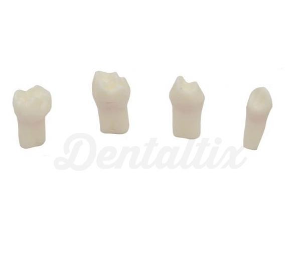 SET DIENTES PARA PULPOTOMÍA Img: 202008221