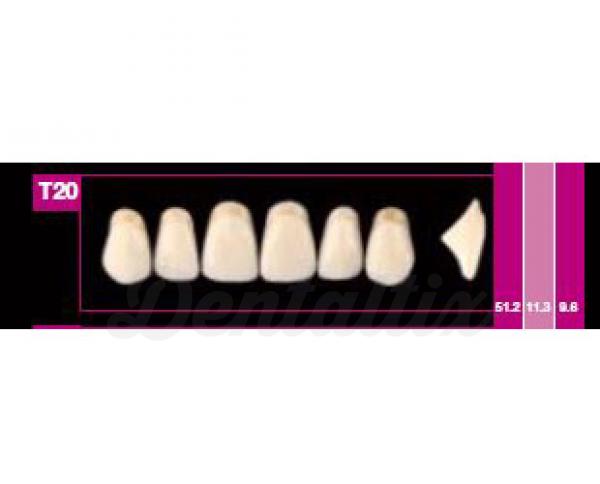 COSMO HXL ant sup T18 C3 Img: 201807031