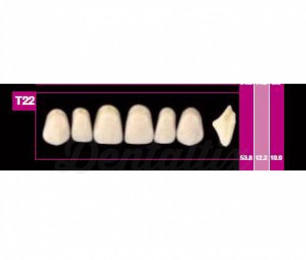 COSMO HXL ant sup T2 D2 Img: 201807031