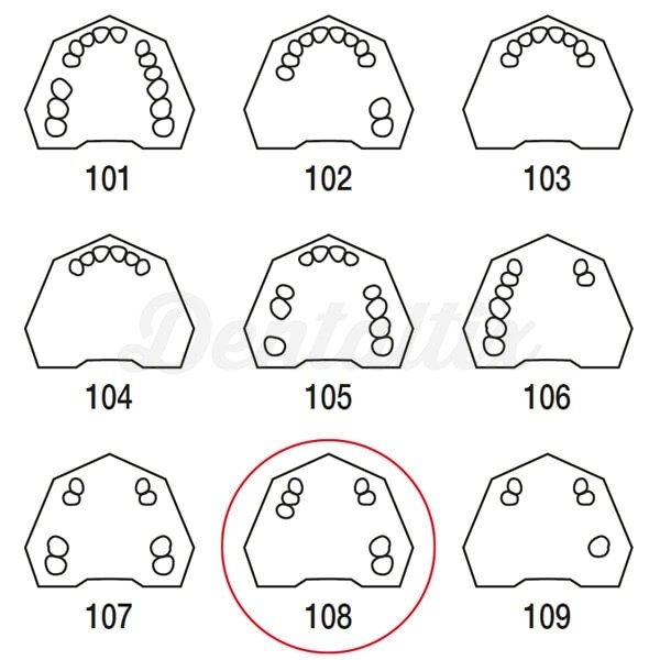 Moldes silicona desdentado BADER - Dentaltix