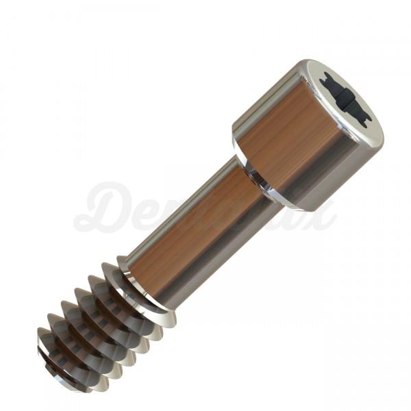 TORNILLO DE PRÓTESIS DIRECTO A IMPLANTE PLATAFORMA REGULAR CONEXION EXTERNA (5u) Img: 201807031