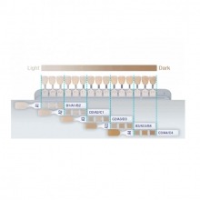 CLEARFIL AP-X - GUIA DE COLORES Img: 202202121