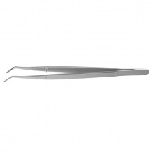 DP2 PINZA COLLEGE Img: 202008291