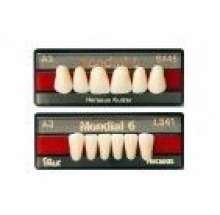 MONDIAL ant inf L315 A2 Img: 201807031