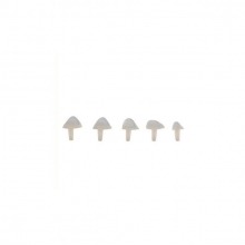 eptoMatrix Cervical Grandes: Sistema de Matrices Transparentes (50 uds)