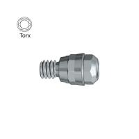 Transepitelial DuploOctagonal Interno (Straumann Tissue Level RN® ø4.8) - Chave Torx Img: 202011211