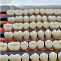 Dentes acrílicos