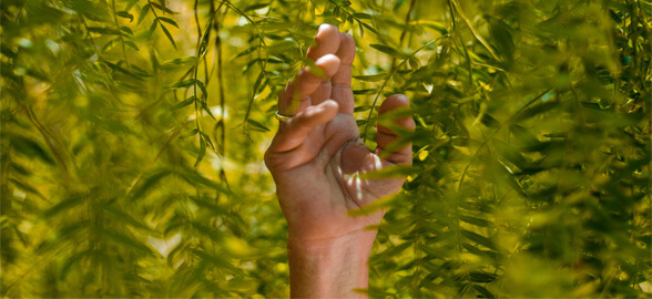 ¡Top Indicadores de Sostenibilidad Ambiental para tu clínica dental!