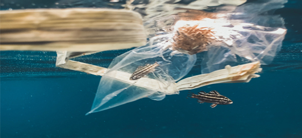 La importancia de reducir la huella de plástico en la clínica dental