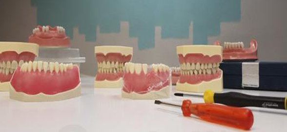 Descubre los Modelos de estudio y Tipodontos dentales Bader