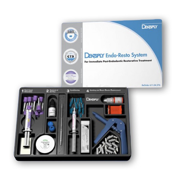 Endo System Kit Remainder