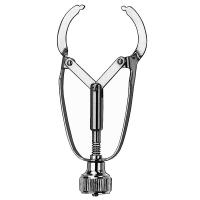 584 PORTAMATRICES IVORY 1 Img: 201807031 584 PORTAMATRICES IVORY 1 Img: 201807031